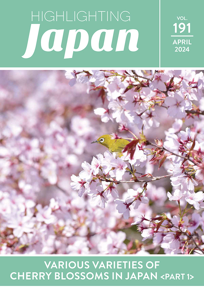 APRIL 2024 VARIOUS VARIETIES OF CHERRY BLOSSOMS IN JAPAN (PART 1)